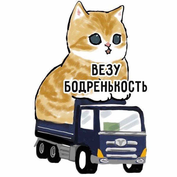 #�������@bon