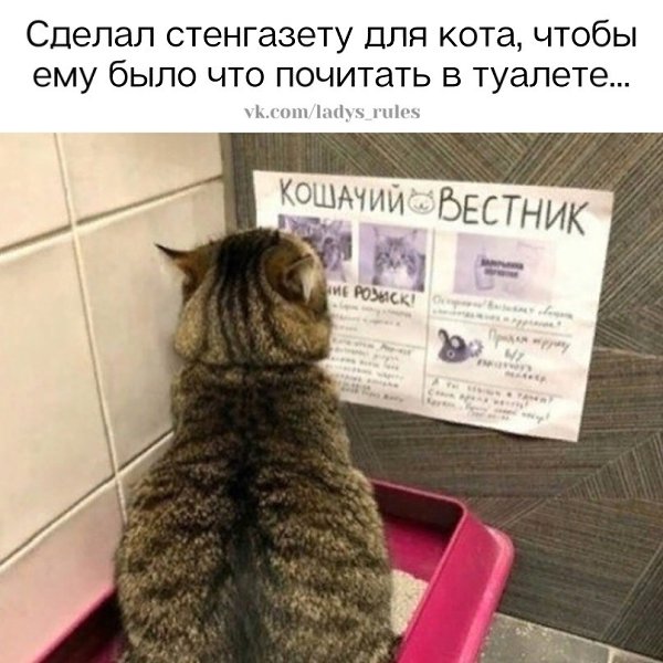 The Lady - 30 ������ 2021 � 19:32