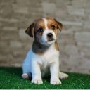 ���� ����, �������, 70 ��� - ��������� 15 ������� 2021 � ������ ������ ��������