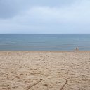 ���� �������, ����������� - ��������� 22 ������ 2022 � ������ ��������