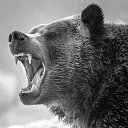 ���� ���������, �����, 44 ���� - ��������� 2 ������ 2022 � ������ ���� ����������