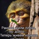 ���� ���, ����, 69 ��� - ��������� 2 ������ 2021 � ������ ������ ��������
