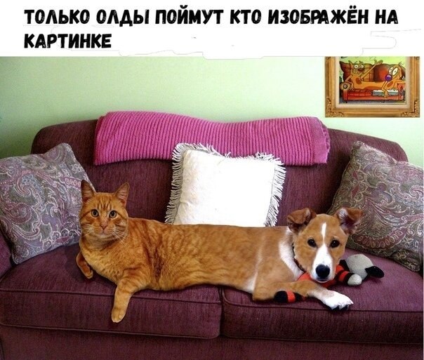 ☆   ☆ - 17  2021  14:17