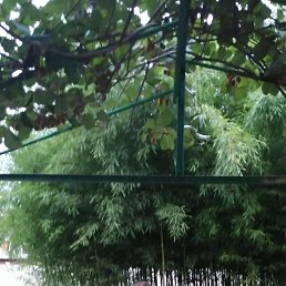 ���������, ������, 47 ���