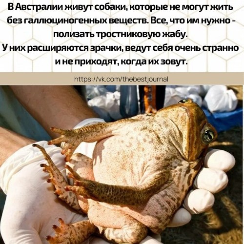 BEST | , ,  - 28  2021  12:00