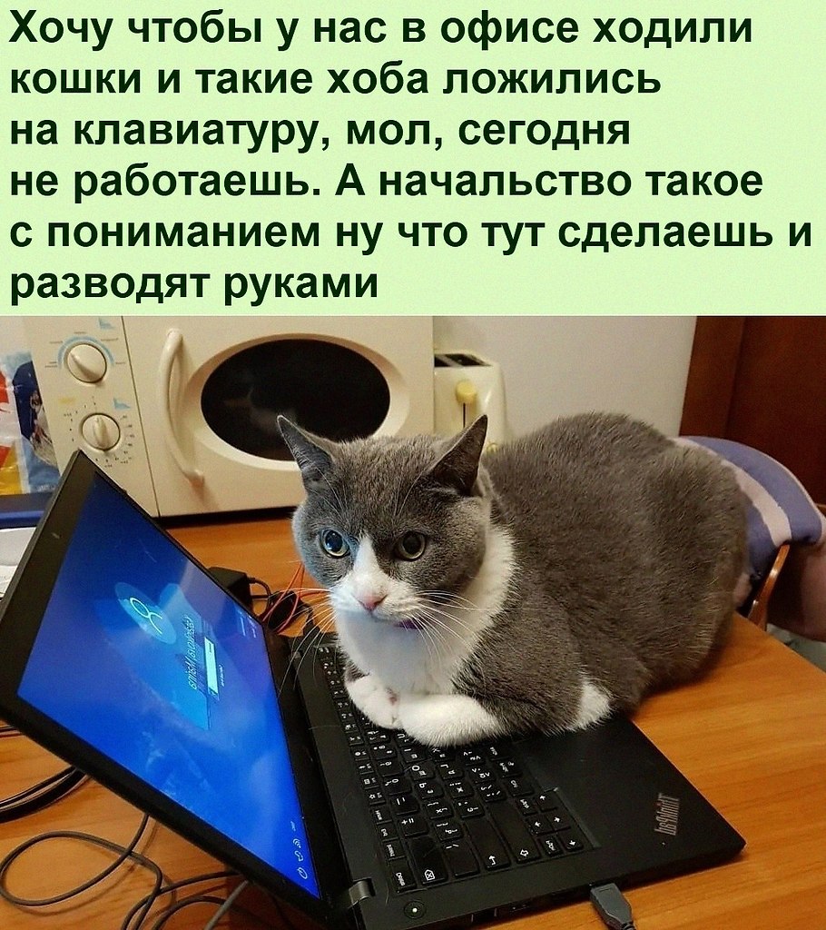 ������ ��������� :D - 22 ������ 2022 � 22:41