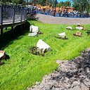 ���� ������, �����-���������, 60 ��� - ��������� 17 ���� 2021