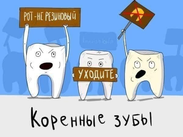 cc  p p. - 7