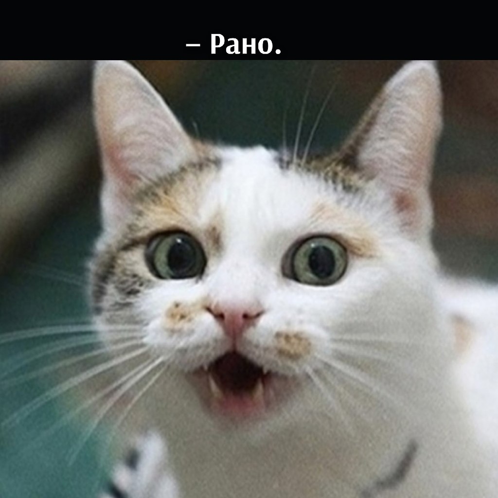       - 29  2021  22:27 - 2