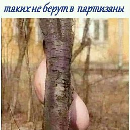 ����, ����, 39 ���