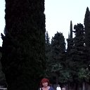 ���� �������, ���� - ��������� 29 ������ 2022 � ������ ���� ����������