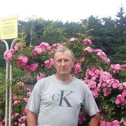 ��������, ������, 69 ���