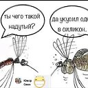 ���� ���, ����, 54 ���� - ��������� 9 ������ 2021 � ������ ���� ����������