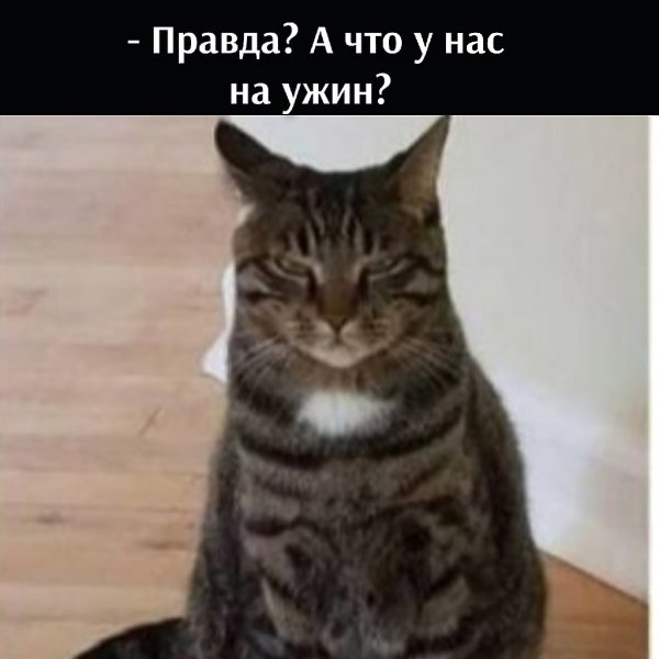       - 22  2021  19:14 - 2