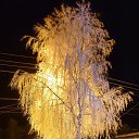 ���� Xde, ������������, 39 ��� - ��������� 13 ������ 2021 � ������ ���� ����������