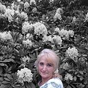  Antonina, , 55  -  6  2021    