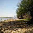 ���� ��������, ���������, 61 ��� - ��������� 17 ������ 2022 � ������ ���� ����������