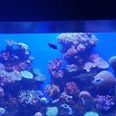 ���� ����, �������, 57 ��� - ��������� 14 ������� 2021 � ������ �������� 2021�