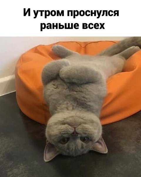 ����, ��� �� ���������� ����� �������� � ����� ���������! ������� ���������� - 2