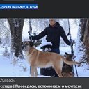 ���� �����, ������, 51 ��� - ��������� 8 ������ 2022 � ������ ���� ����������