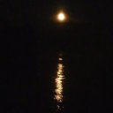 ���� �����, ��������� - ��������� 13 ������ 2021 � ������ ���� ����������