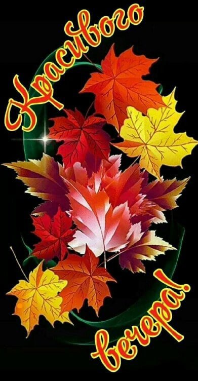   ,    . - 12  2021  16:35 - 3