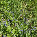 ���� Irin@, ��������� - ��������� 16 ������� 2021 � ������ �2021�