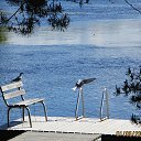 ���� � ���� ���� ��������� ������������� ������. ��� ���������� ������ �� ����������� ��������� ����� � �� ��� ������� �����. � ������ ��� �������� �� ����� �������&hellip; �� ������� ������