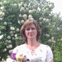 ����������, �������, 49 ���