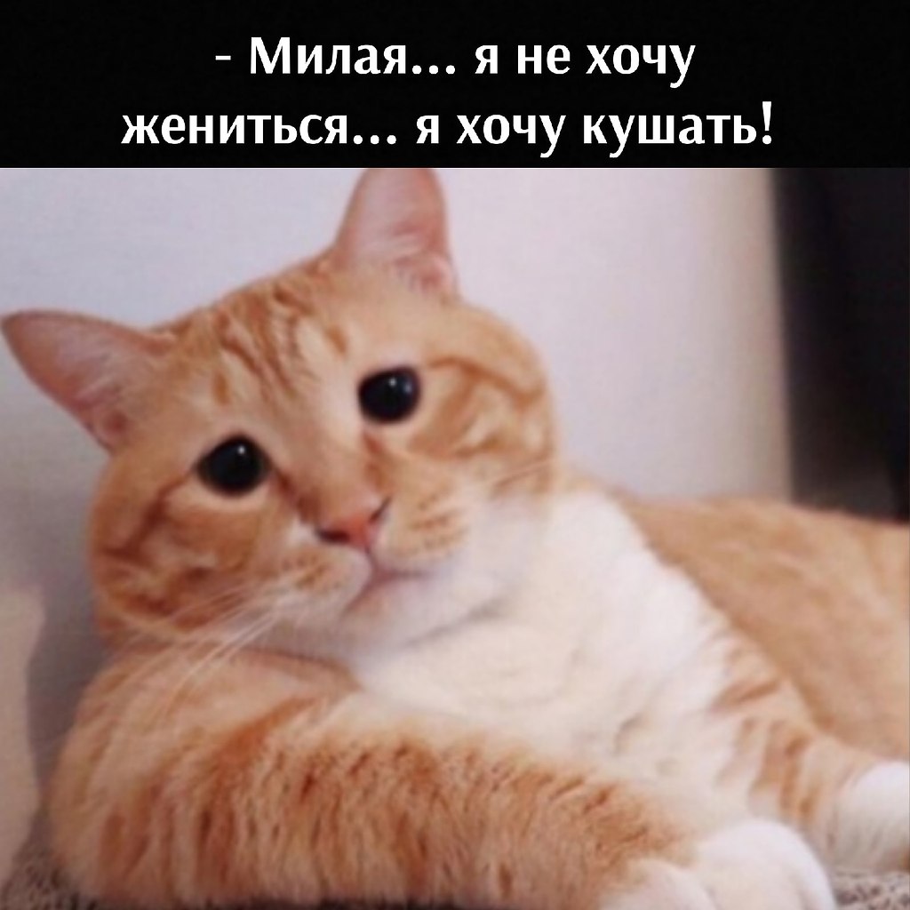       - 31  2021  09:38 - 2