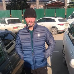 , 52, 