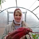 ���� �����, �������, 53 ���� - ��������� 18 ������ 2021