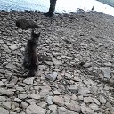 ������� ��� -����� . �� ������� ���� ����������