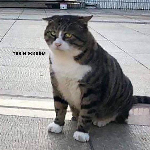      - ,    -  - 4