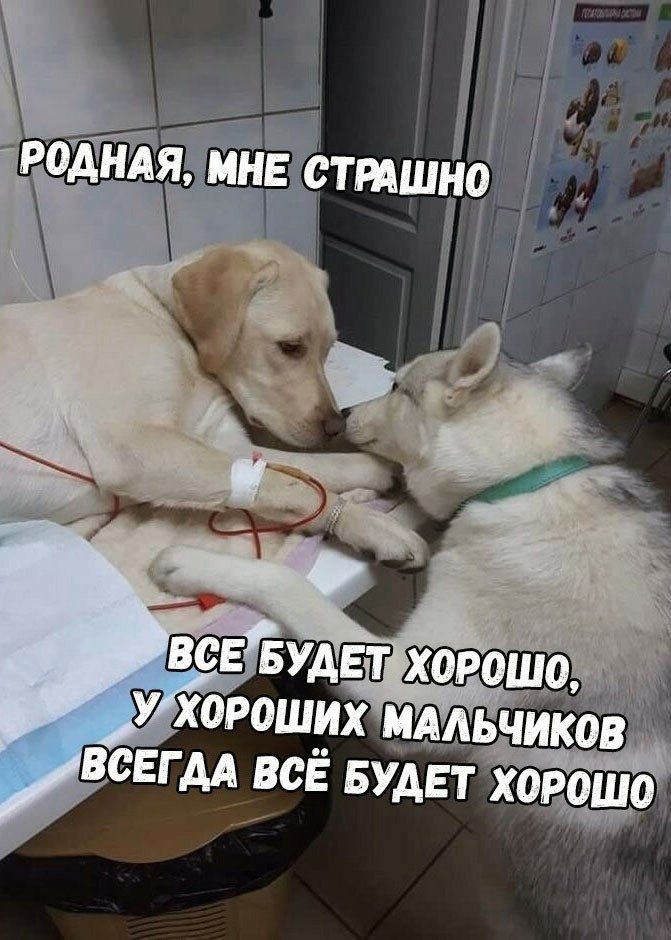 ����� ��������
