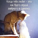 ���� ����������, ������ - ��������� 21 ������� 2021 � ������ ������ ��������