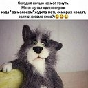 ���� �������, �����������, 66 ��� - ��������� 21 ������� 2021 � ������ ���� ����������