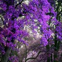 ���� ��������, ���������, 57 ��� - ��������� 21 ���� 2021 � ������ ���� ����������