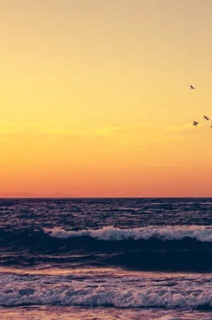 ��������, ��������, ���� ���������� �����, ���� ���������� ����� �� �� ��� ����, ���������� �� ��� ... - 3