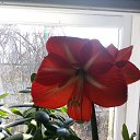 ���� ������, �������, 63 ���� - ��������� 5 ������ 2021 � ������ ���� ����������