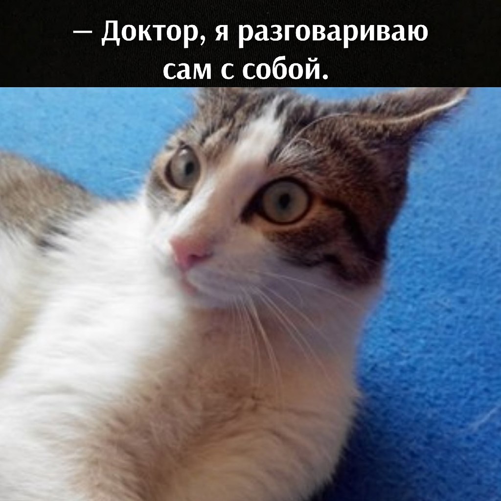       - 27  2021  09:02