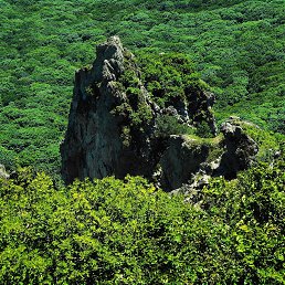 �������, ���������, 50 ���