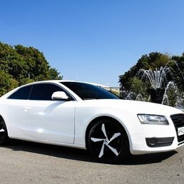 ����, ����, 33 ����