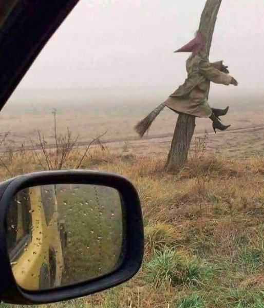 Вот это красотка не справилась с управлением своего кабриолета)))