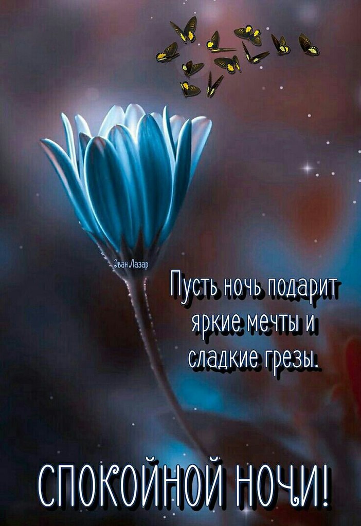   ,    . - 3  2021  22:30 - 4