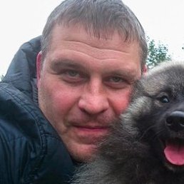 ������, ���������, 51 ���