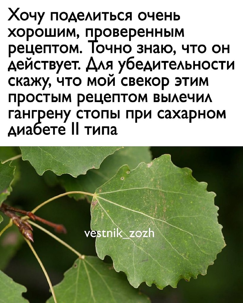 Незаживающие раны на ноге. Диабетическая рана. Гангрена. ... | Всё о  здоровье | Фотострана | Пост №2328392352