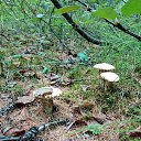 21.07.2021.�.�����,������,������� ����� � ���� ���� ������.))) �� ������� ���� ����������