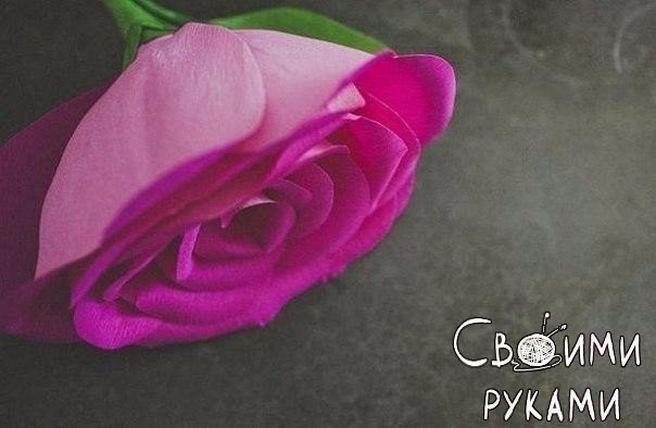 Роза из цветной гофробумаги для фотосессии - 9