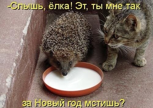    - 17  2021  11:32